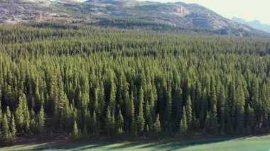 Güzel turkuaz sularıyla Kanada Kayalıkları 'ndaki sakin Bow Gölü manzarası..