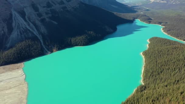 Flygfoto Över Den Otroliga Peyto Lake Vackert Turkost Vatten Omgivet — Stockvideo
