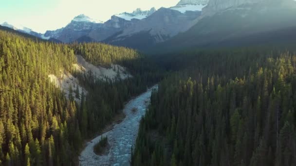 Αεροφωτογραφία Του Απίστευτου Φαραγγιού Mistaya Στα Βραχώδη Όρη Του Καναδά — Αρχείο Βίντεο