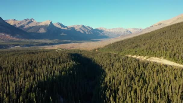 Vista Aérea Del Increíble Cañón Mistaya Las Montañas Rocosas Canadá — Vídeos de Stock