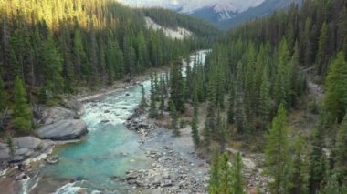 Gün batımında güzel hava manzarası, Mistaya Kanyonu 'ndaki ağaçlarla dolu nehir, Kanada Kayalıkları.