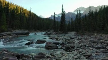 Gün batımında güzel hava manzarası, Mistaya Kanyonu 'ndaki ağaçlarla dolu nehir, Kanada Kayalıkları.