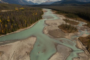 Sonbahar günü Alberta, Kanada 'da binlerce ağaçla çevrili Athabasca Nehri' nin mavi renginde hava manzarası..