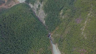 Athabasca Dağı yakınlarındaki buzul dilinin hava görüntüsü..