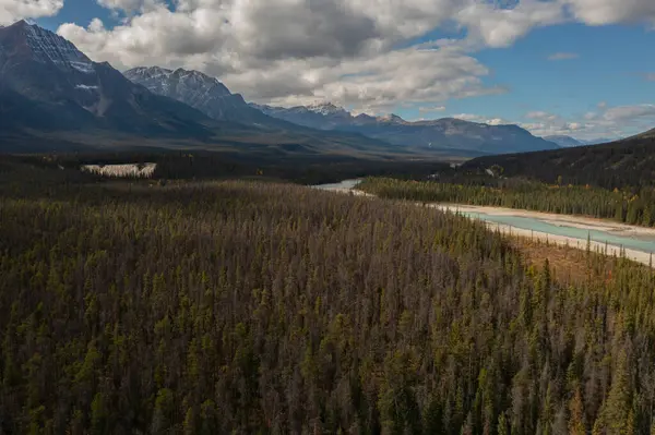 Kanada 'nın Alberta şehrinde bir sonbahar günü binlerce ağaç ve yüksek dağlarla çevrili Athabasca Nehri' nin hava manzarası..