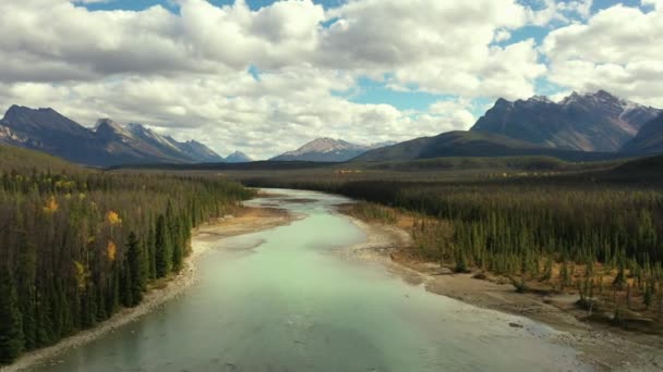 Widok Powietrza Rzekę Athabasca Niebieskawym Kolorem Otoczony Tysiącami Drzew Jesienny — Wideo stockowe