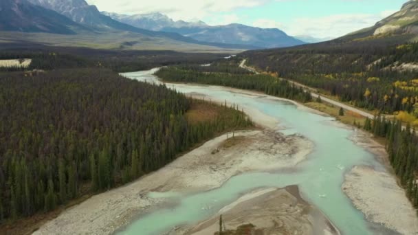 Letecký Pohled Řeku Athabasca Modravou Barvou Obklopenou Tisíci Stromů Podzim — Stock video