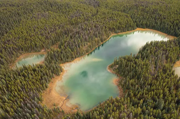 Lorraine 'in binlerce ağaçla çevrili göllerinin gökyüzü bulutlu bir günde göllere yansıyor. Jasper Ulusal Parkı, Kanada.