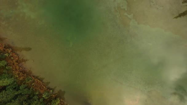 Luftaufnahme Der Seen Von Lothringen Umgeben Von Tausenden Von Bäumen — Stockvideo