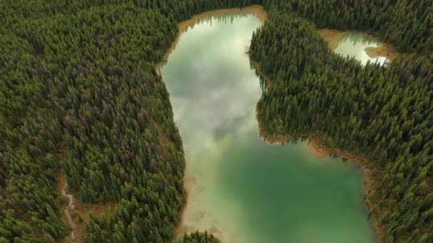 Вид Повітря Озера Лотарингії Оточене Тисячами Дерев Небо Відображається Озерах — стокове відео