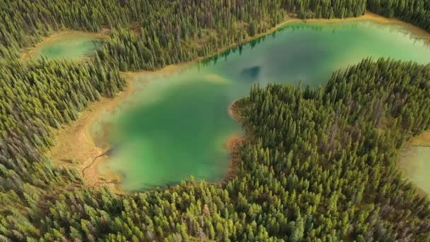 Luftaufnahme Der Seen Von Lothringen Umgeben Von Tausenden Von Bäumen — Stockvideo