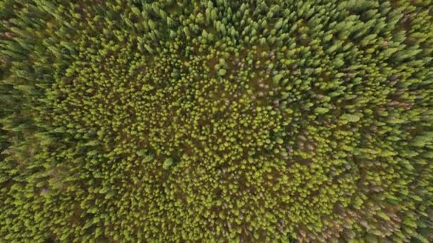 Lucht Uitzicht Meren Van Lotharingen Omgeven Door Duizenden Bomen Lucht — Stockvideo