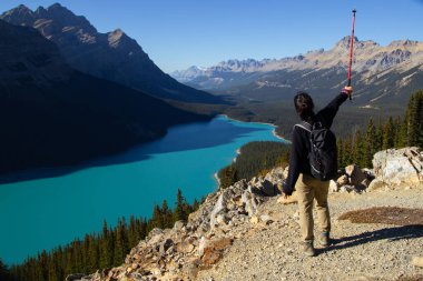 Yürüyüş sopasıyla gezen kadın. Güneşli bir sonbahar gününde güzel Peyto Gölü 'nde turkuaz suyla.