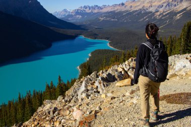 Yürüyüş sopasıyla gezen kadın. Güneşli bir sonbahar gününde güzel Peyto Gölü 'nde turkuaz suyla.