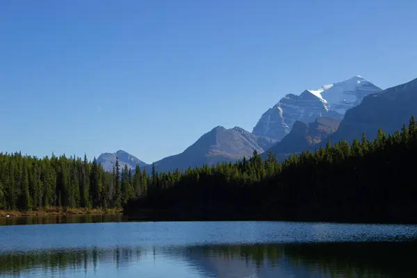 Herbert Gölü güneşli bir sonbahar gününde Banff Ulusal Parkı, Alberta, Kanada.