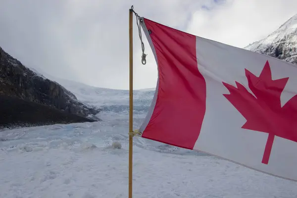 Athabasca Buzulunda dalgalı Kanada bayrağı.