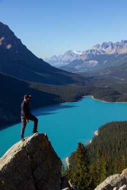 Güneşli bir günde, turkuaz sularıyla büyük Peyto Gölü 'ne hayran olan bir kayanın tepesinde yürüyüş yapan adam..