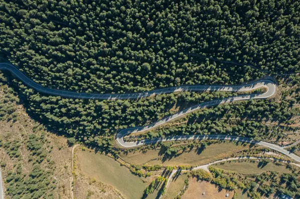 İspanya 'nın Gosol şehrinin arka planında çam ağaçlarıyla çevrili yüksek dağ yolu manzarası güzel.