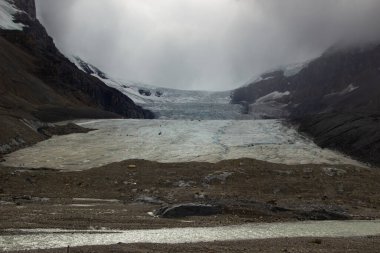 Athabasca Buzulu - Jasper Ulusal Parkı. Jasper Ulusal Parkı 'ndaki Athabasca Buzulu' ndan aşağı soğuk rüzgarlar esiyor..