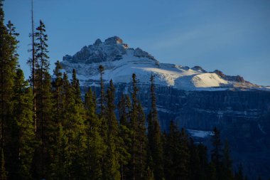 Kanada Kayalıklarında gün batımında dağın tepesinde bir buzulla, birçok çam ağacının yanında..
