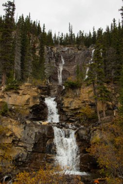Sonbaharda Tangle Creek Şelalesi Jasper Ulusal Parkı, Alberta, Kanada