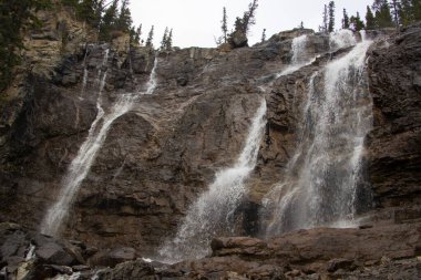 Sonbaharda Tangle Creek Şelalesi Jasper Ulusal Parkı, Alberta, Kanada