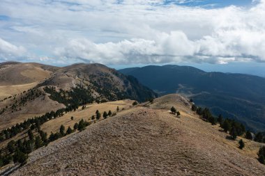 Katalonya, İspanya 'daki Rasos Peguera dağlarının kuru bitki örtüsü manzarası..