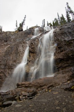 Sonbaharda Tangle Creek Şelalesi Jasper Ulusal Parkı, Alberta, Kanada