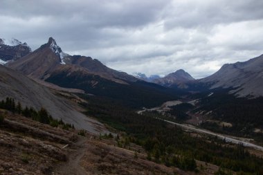 Icefield Parkı 'nın güz mevsiminde çevresi çam ağaçlarıyla çevrili güzel hava manzarası.