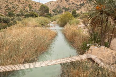 Murcia 'daki büyüleyici Ojos kasabasındaki Segura Nehri' ni geçen güzel ahşap asma köprünün hava manzarası.