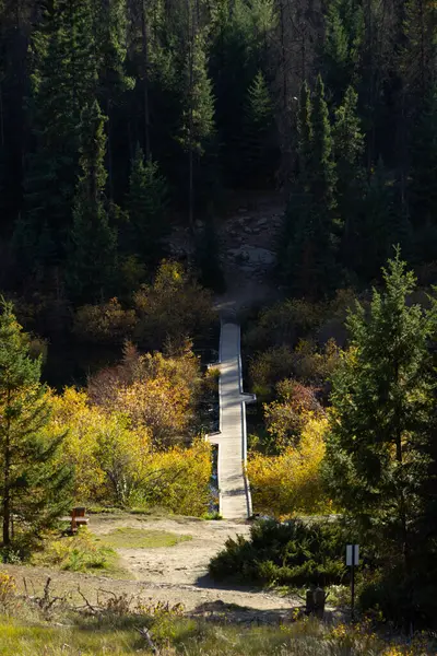 stock image Wooden bridge between pine trees to cross the five lakes of Jasper National Park in Canada.