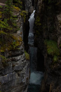 Maligne Kanyonu 'ndaki kayalar arasındaki şelale, Jasper, Kanada.