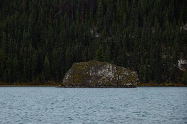 Maligne Gölü 'nde üzerinde çam ağacı olan küçük kayalık bir ada.