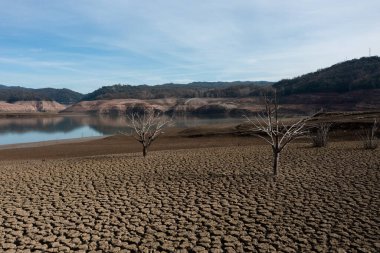 Sau rezervuarındaki tüm zemin çatlamış kuru ağaç..