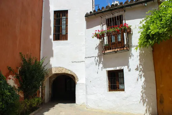 SEVILLE, SPAIN - 29 NİSAN 2024: Seville eski Yahudi mahallesi. Barrio Santa Cruz, İspanya 'nın Endülüs eyaletinde yer alan bir şehirdir..