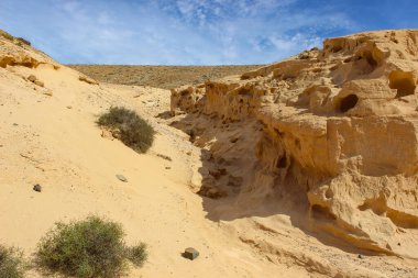 İspanya 'nın Kanarya Adaları' ndaki Fuerteventura Adası 'nda bulunan Barranco Encantado' da rüzgar ve zaman tarafından yontulmuş kumtaşı oluşumları.. 