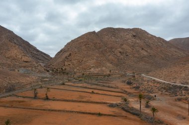 Kanarya Adaları 'ndaki geleneksel tarım yöntemlerini vurgulayan volkanik bir geçitteki ekili terasların yukarıdan çekimi..