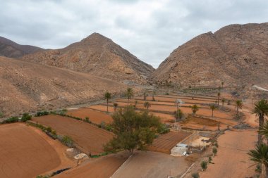 Mal Paso vadisi, Fuerteventura, Kanarya Adaları 'ndaki geleneksel teraslı tarım arazilerinin insansız hava aracı görüntüsü eski tarım tekniklerini sergiliyor..