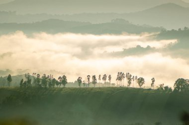 Huzurlu bir manzarada Puslu Dağlar ve Ağaçlar