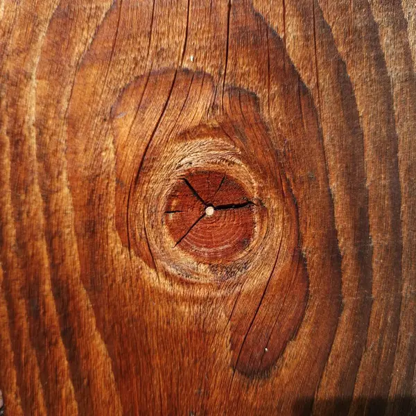 Düğümlü bir kütüğün uzunlamasına bölümü. Dalgalı ahşap doku