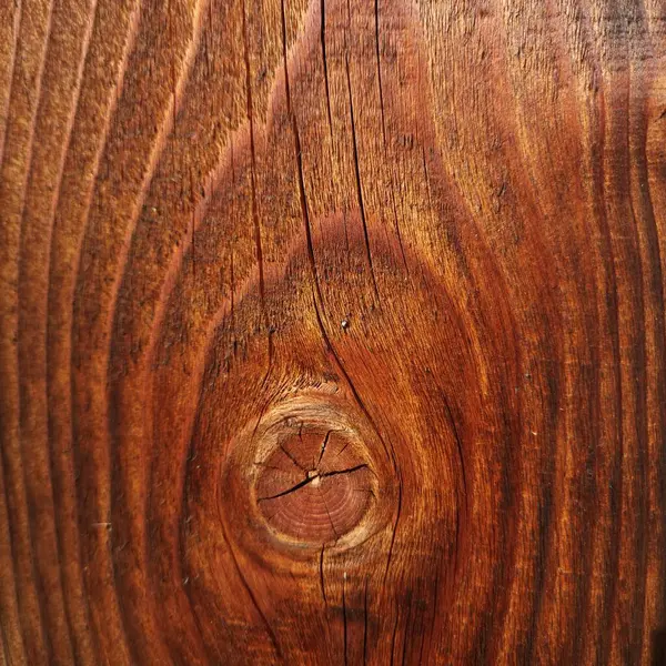 Düğümlü bir kütüğün uzunlamasına bölümü. Dalgalı ahşap doku