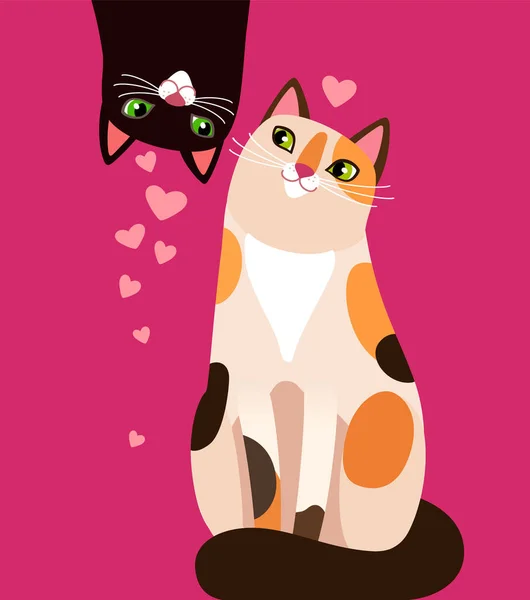 Çok renkli bir kedinin yanında aşık bir kara kedi görüldü.