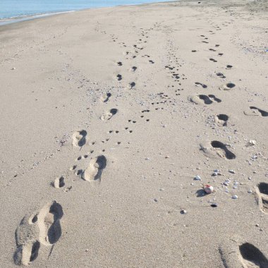 Issız bir kumsalın açık kumlarında insan ve köpek izleri var.