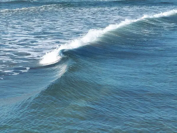 Fırtınalı denizin tepesi dalgaların köpüğünü oluşturur.