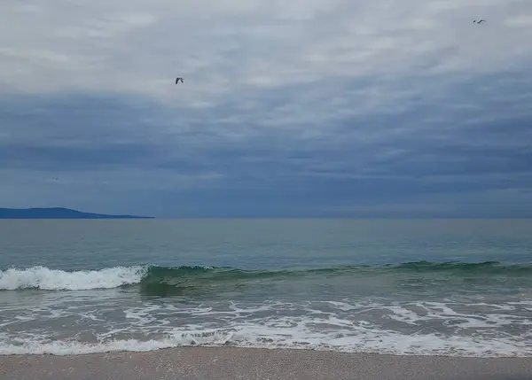 Bulutlu mavi gökyüzü ve akşam deniz manzarasında yeşil deniz