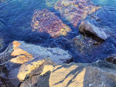 Mavi deniz suyunda güneş tarafından aydınlatılmış alglerle aydınlatılmış taşlar.