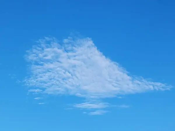 Gökyüzündeki en narin yaprak şeklindeki bulut.