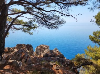 kozalaklı ağaçlar ve büyük taşlarla çerçevelenmiş deniz arkaplanı