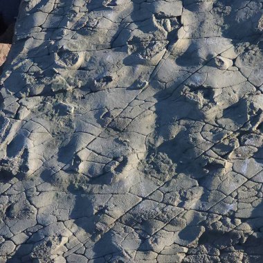 Kayanın alışılmadık dokusu ve yakın plan çatlakları. desenli arkaplan