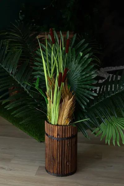 stock image reed with green leaves